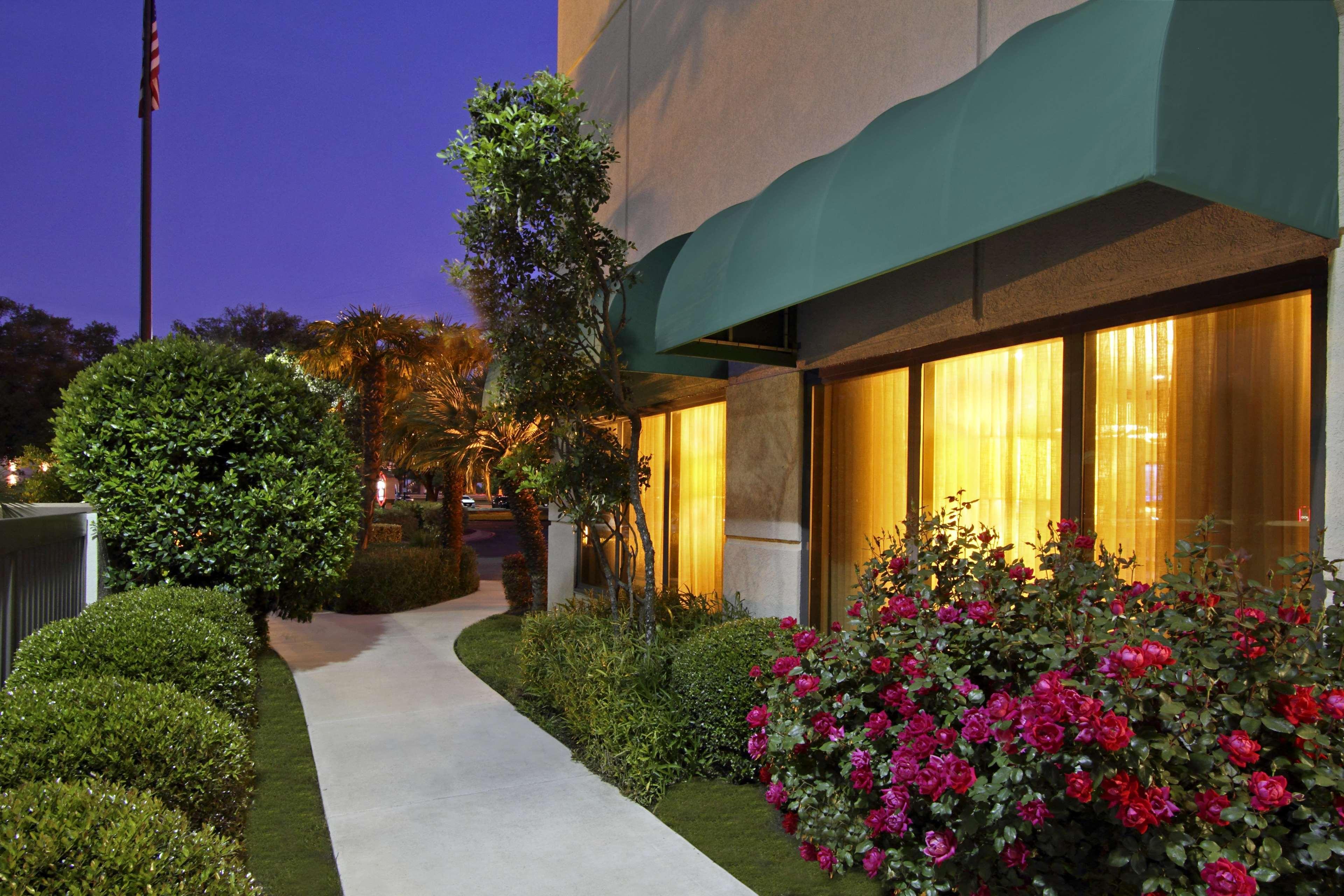 Hampton By Hilton Austin South - I-35 & Ben White Otel Dış mekan fotoğraf